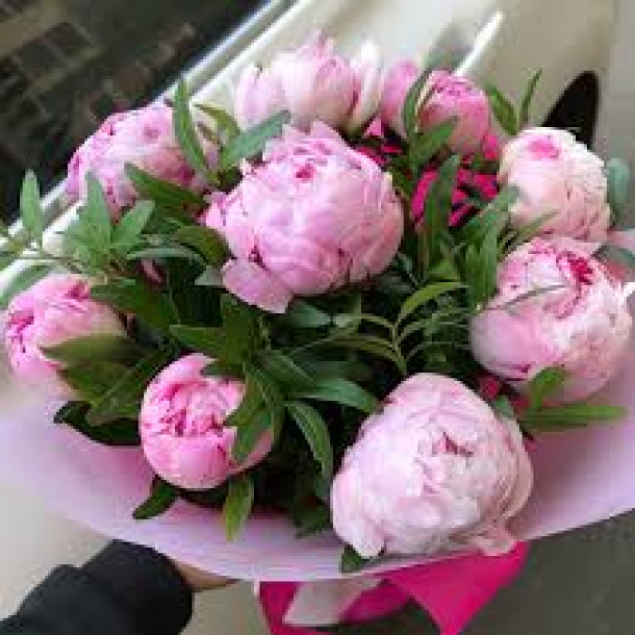 Пион древовидный в Саптаеве