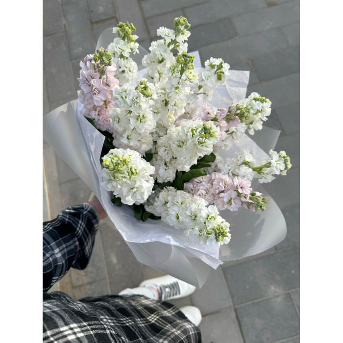 Маттиола в Саптаеве