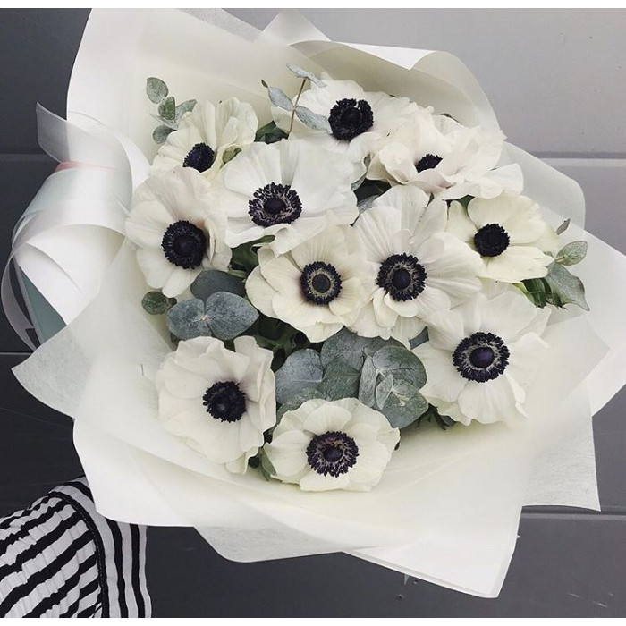 Анемоны в Саптаеве