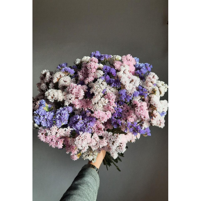 Статица (Лимониум) в Саптаеве