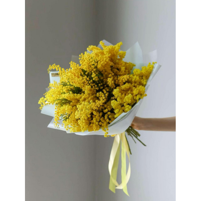 Мимоза в Саптаеве