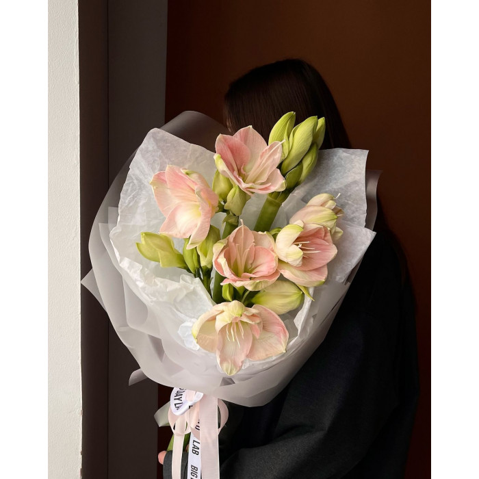 Амариллис в Саптаеве