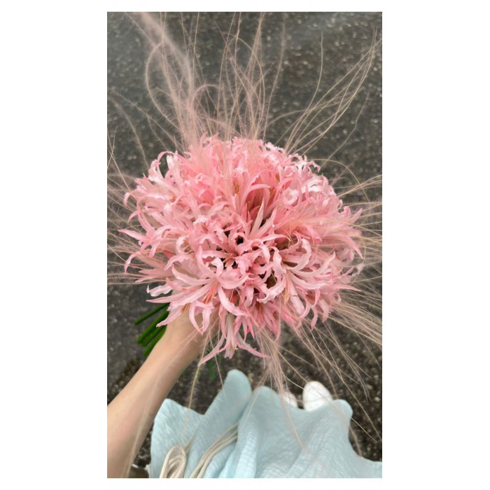 Нерине в Саптаеве