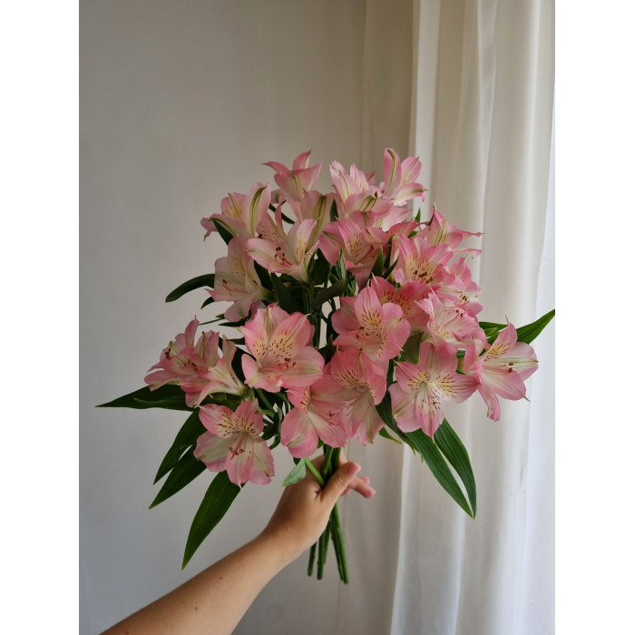 Альпиния в Саптаеве