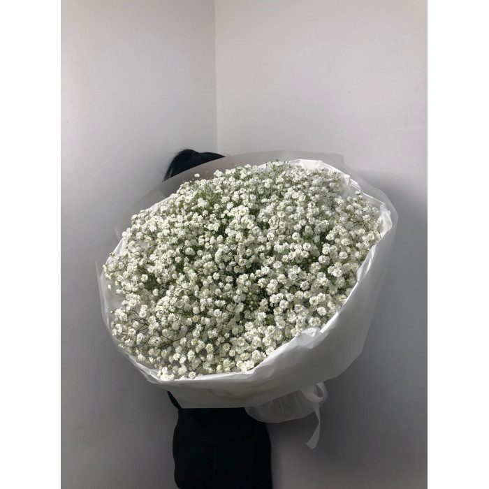 Гипсофила классическая в Саптаеве