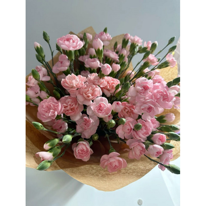 Кустовые гвоздики в Саптаеве