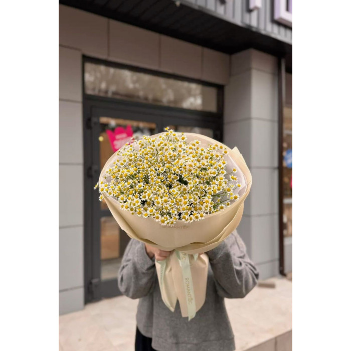 Танацетум в Саптаеве