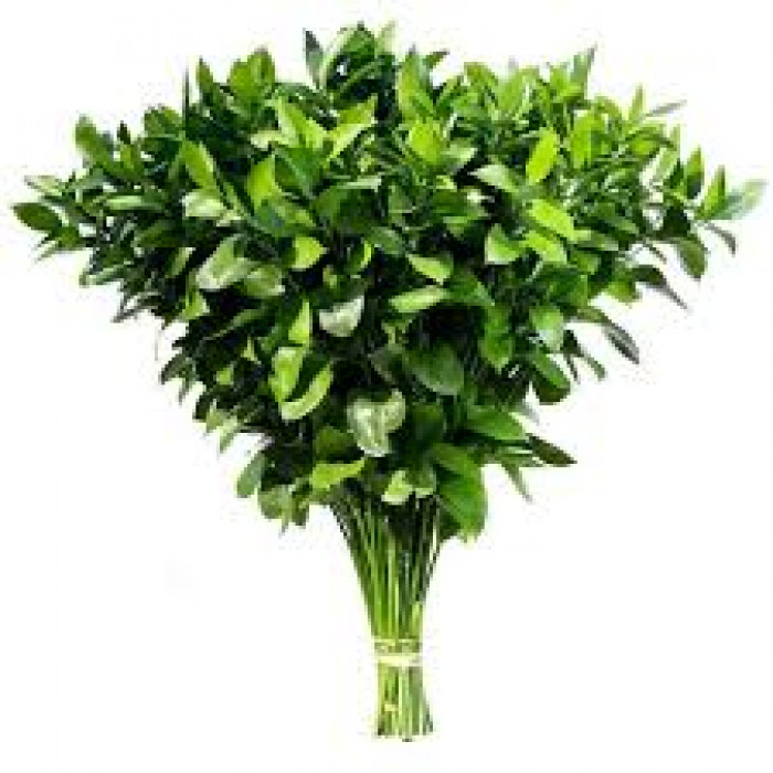 Рускус в Саптаеве