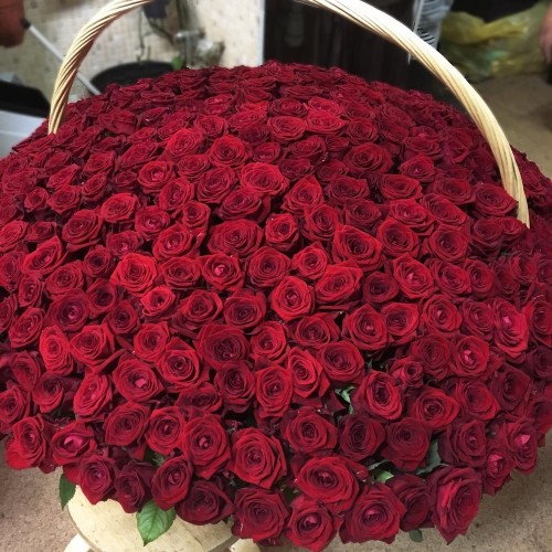 Купить на заказ 1001 роза с доставкой в Сатпаеве